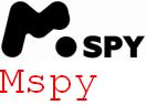 Goigle Mspy